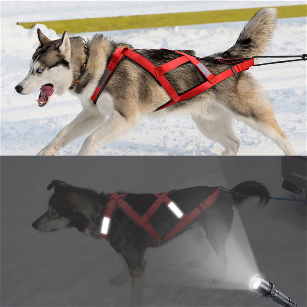 Arnés de Alta Calidad para Per - Reflective Jacket Running reseña y precio